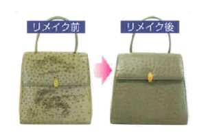 爬虫類系 爬虫類系